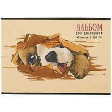 Купить Альбом для рисования Academy Style, "Я тут", А4, 40 листов, на склейке — Фото №1