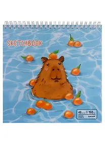 Купить Скетчбук 190*190 48л "Капибара", жесткая подложка, гребень, блок 160г/м2 — Фото №1