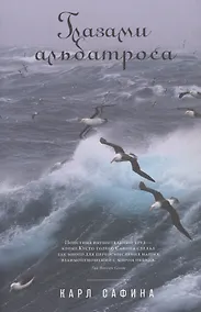 Купить Глазами альбатроса — Фото №1