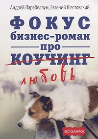 Купить Фокус. Бизнес-роман про коучинг — Фото №1