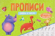 Купить Цифры и числа. Прописи — Фото №1