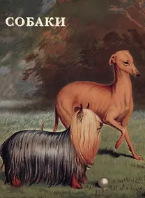 Купить Собаки. Набор открыток — Фото №1