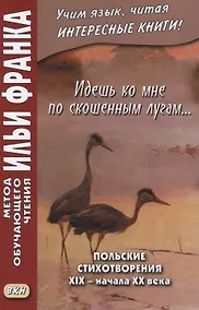 Купить Идешь ко мне по скошенным лугам… Польские стихотворения XIX — начала XX века — Фото №1