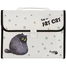 Купить Портфель «Fat cat», А4, 12 отделением — Фото №1