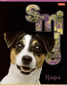 Купить Тетрадь в клетку Hatber, "Улыбнись!", 80 листов, в ассортименте — Фото №1