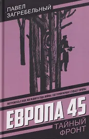 Купить Европа 45 — Фото №1