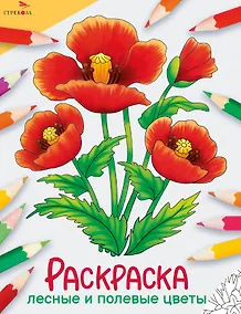 Купить Лесные и полевые цветы. Окружающий мир. Раскраска — Фото №1