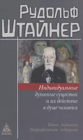 Купить Индивидуальные духовные существа и их действие в душе человека — Фото №1