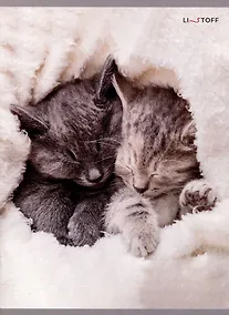 Купить Тетради в клетку Listoff, "Пушистый сон", А4, 48 листов — Фото №1