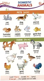 Купить Карточка-шпаргалка. Domestic Animals (Домашние животные) — Фото №1