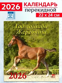 Купить Календарь 2026г 220*240 «Год лошади.Жеребята» настенный, на скрепке — Фото №1