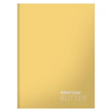 Купить Книга для записей А5+ 96л кл. "Butter" интеграл.перепл., матов.ламин., выб.лак. — Фото №1