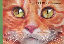 Купить Альбом для рисования Listoff, "Рыжий котик", А4, 40 листов, на склейке — Фото №1