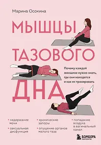 Купить Мышцы тазового дна. Почему каждой женщине нужно знать, где они находятся и как их тренировать — Фото №1