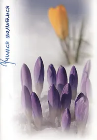 Купить Учимся молиться (м) Союзов — Фото №1