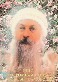 Купить Огромная тайна Золотые самородки (Ошо) — Фото №1