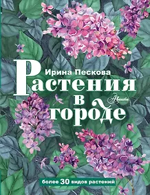 Купить Растения в городе — Фото №1
