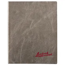 Купить Дневник школьный Феникс+, "Графитовый" — Фото №1