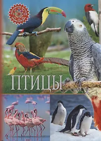 Купить Птицы — Фото №1