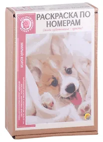Купить Раскраска по номерам. Милый корги — Фото №1