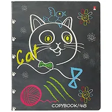 Купить Тетрадь в клетку Альт, "Учёный кот", 48 листов, в ассортименте — Фото №1