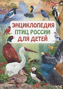 Купить Энциклопедия птиц России для детей — Фото №1