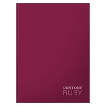 Купить Книга для записей А5+ 96л кл. "Ruby" интеграл.перепл., матов.ламин., выб.лак. — Фото №1