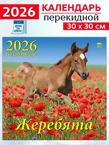Купить Календарь 2026г 300*300 «Год лошади.Жеребята» настенный, на скрепке — Фото №1