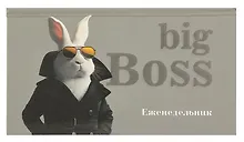 Купить Планинг недат. 2025г. 64л 165*90 "БИГ-БОСС" карманный, тв.переплет, обл.картон, мат.ламинация, офсет — Фото №1