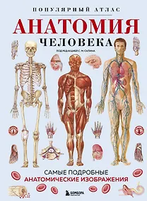 Купить Анатомия человека. Популярный атлас. Самые подробные анатомические изображения — Фото №1