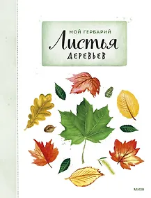 Купить Мой гербарий. Листья деревьев(переупак) — Фото №1