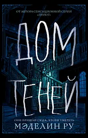 Купить Дом теней : роман — Фото №1