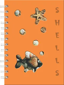 Купить Тетрадь Be Smart, "Шеллс", 120 листов — Фото №1