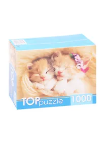 Купить Пазл Два спящих котенка TOPpuzzle 1000 элементов ГИТП1000-2142 — Фото №1