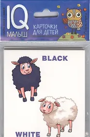 Купить Умный малыш. ENGLISH. Противоположности. — Фото №1