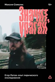 Купить Значит, ураган. Егор Летов: опыт лирического исследования — Фото №1