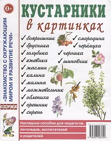 Купить Кустарники в картинках. Наглядное пособие для педагогов, логопедов, воспитателей и родителей — Фото №1