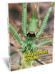 Купить Насекомые Крыма. Сокровенные тайны шестиногих — Фото №1