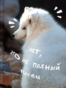 Купить Записная книжка А6 80л кл. "Песец" 7БЦ, глянц.лам, офсет — Фото №1