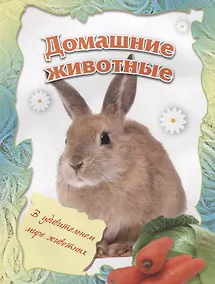 Купить Домашние животные УМ-2 — Фото №1