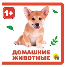 Купить Домашние животные — Фото №1