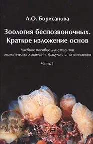 Купить Зоология беспозвоночных. Краткое изложение основ.  Часть1 — Фото №1