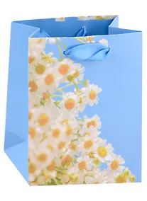 Купить Пакет А6 14*11,5*6 "Spring blossom" жен., бум.мат.ламинат — Фото №1