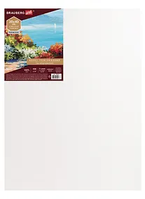 Купить Холст на подрамнике 30*40см грунтованный, 100% лен, среднее зерно, BRAUBERG ART PREMIERE — Фото №1