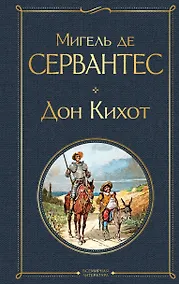 Купить Дон Кихот — Фото №1