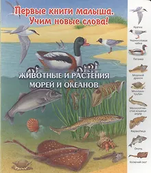 Купить Животные и растения морей и океанов (ПерКнМалУчНовСл) (картон) Комарова — Фото №1