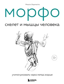 Купить МОРФО. Скелет и мышцы человека. Анатомия для художников — Фото №1