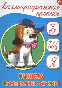 Купить КАЛЛИГРАФИЧЕСКАЯ ПРОПИСЬ А5. ПИШЕМ ПРОПИСНЫЕ БУКВЫ — Фото №1