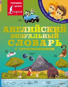 Купить Английский визуальный словарь с произношением — Фото №1