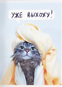 Купить Тетрадь в клетку Listoff, "Утро кошечки", А4, 60 листов — Фото №1